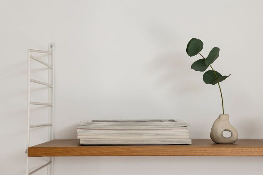 Étui pour Bose SoundLink Revolve et Revolve+ (série II) RLSOCO
